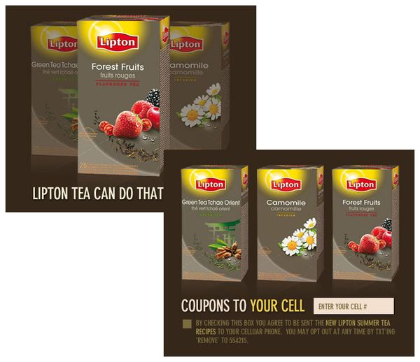 Lipton — 137 & Co. project